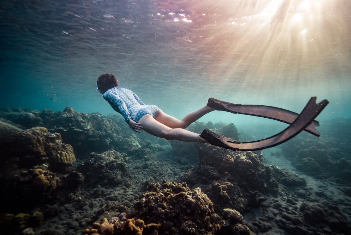 Freediving Fins Buying Guide: Carbon vs Fiberglass vs Plastic