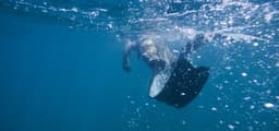 Freediving vs Scuba Diving: Key Differences Explained