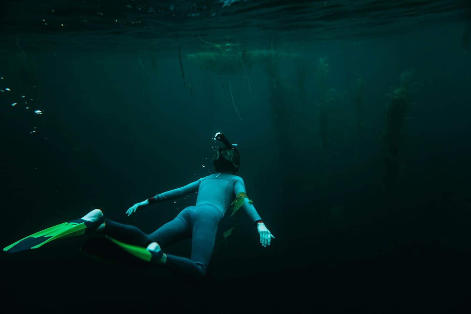 Freediving Wetsuit Guide: How to Choose the Right Suit