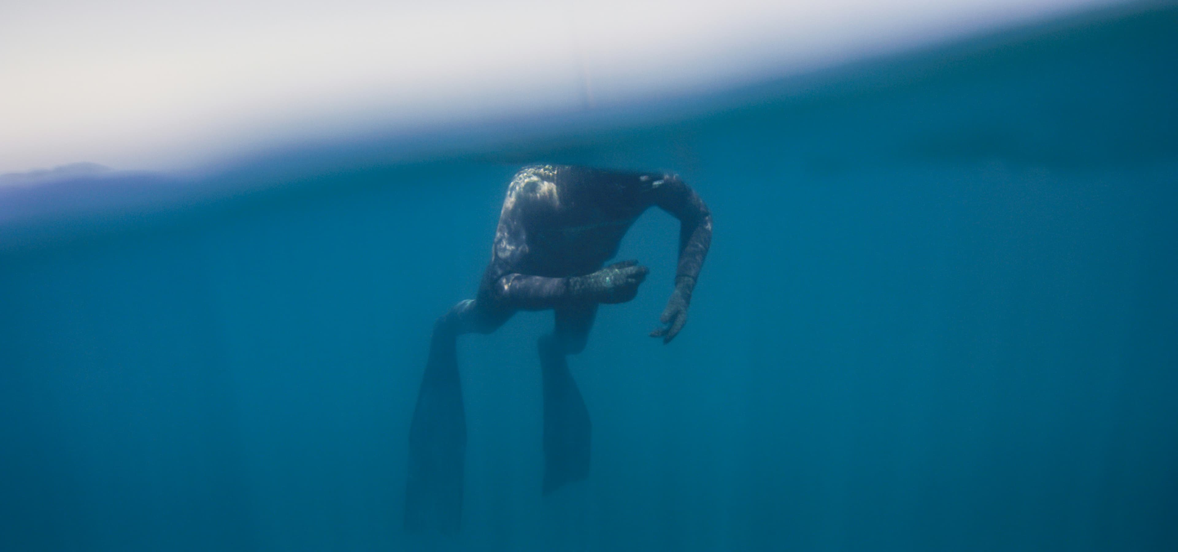 How Freediving's Governing Bodies Are Failing the Sport: What Every Freediving Student Should Know