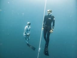 PADI vs Molchanovs Freediving Courses in Melbourne: Which Should You Choose?
