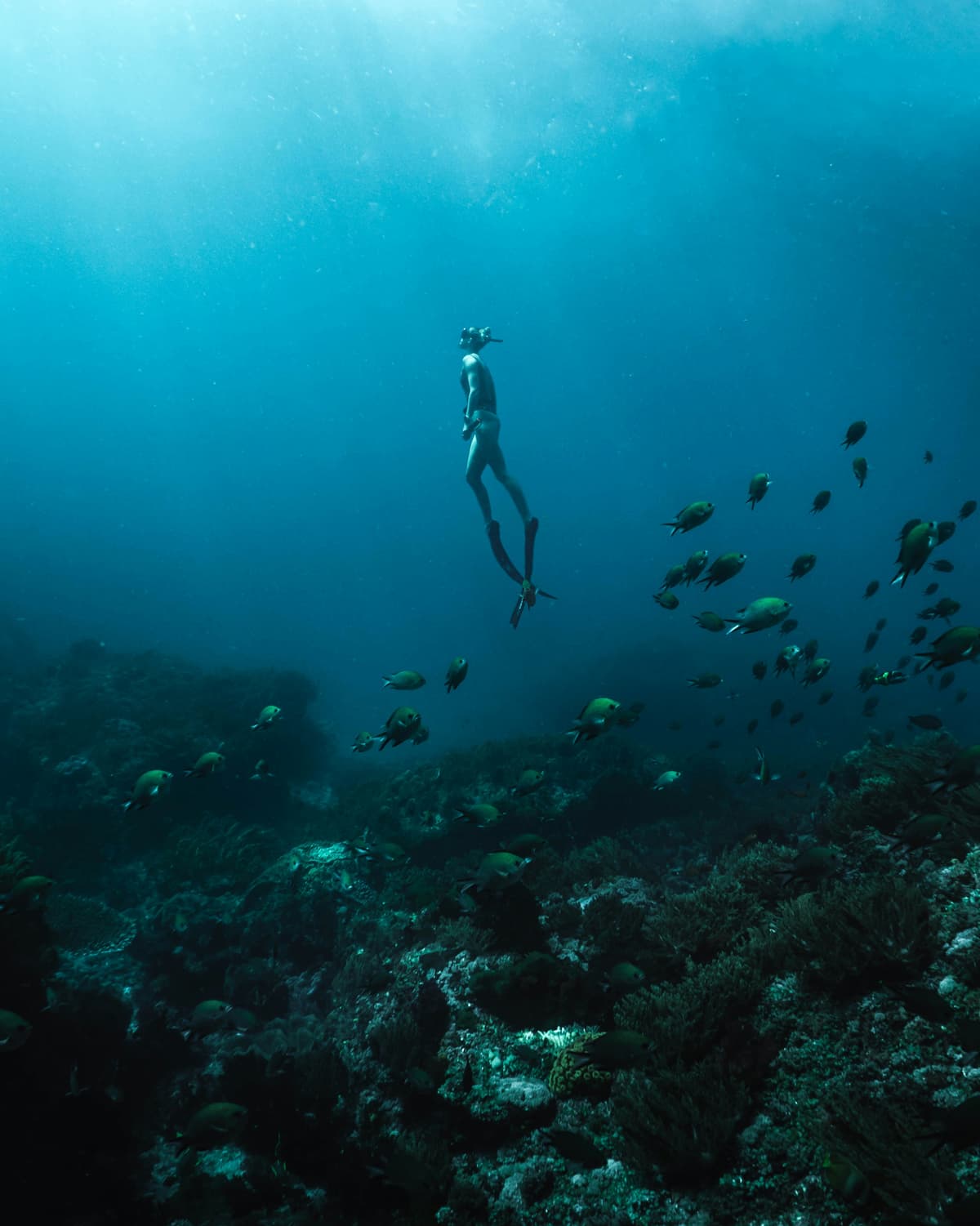 Freediver Swimming with Fish