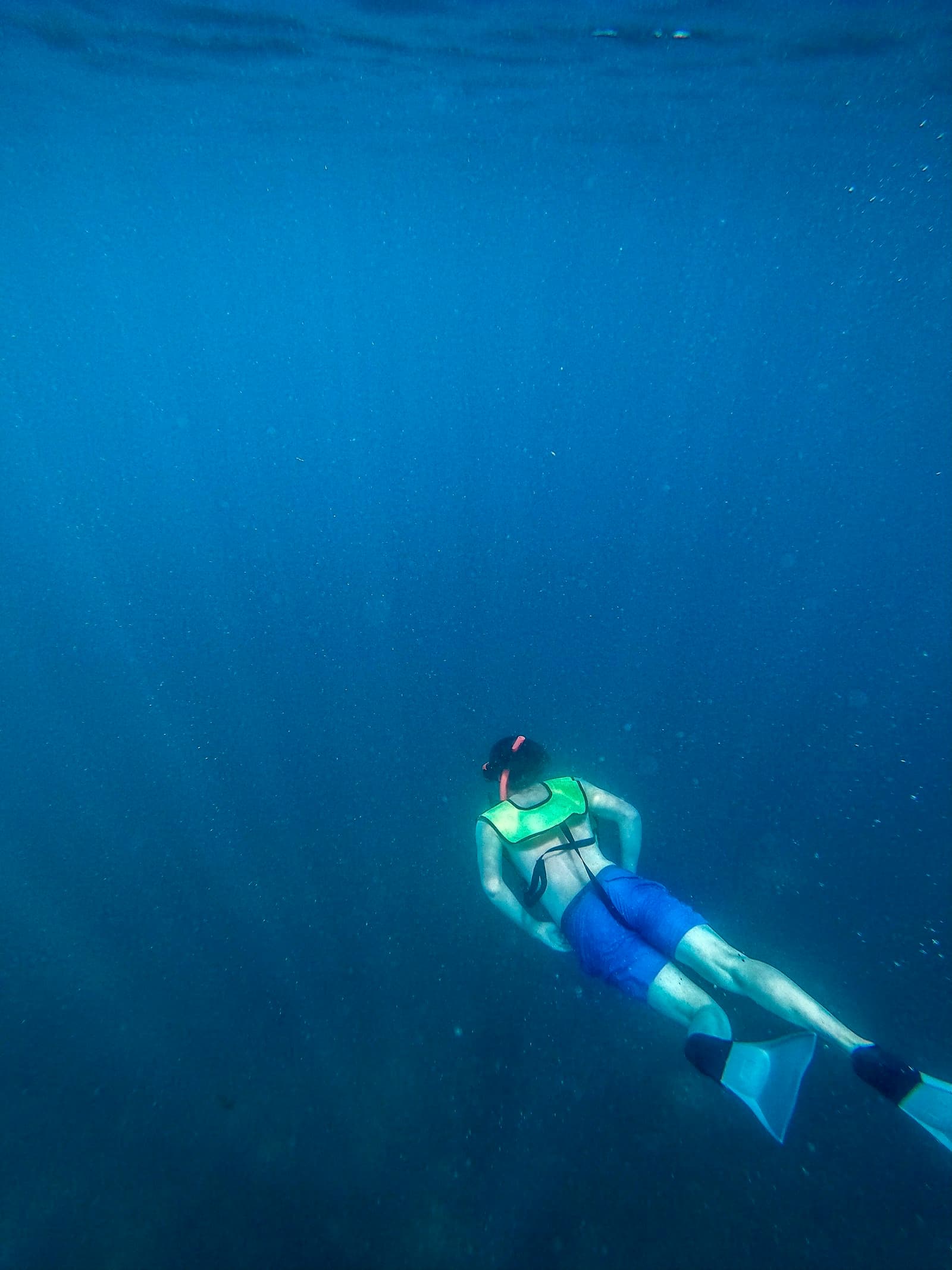 Is Freediving Dangerous? Risks, Statistics & How to Stay Safe