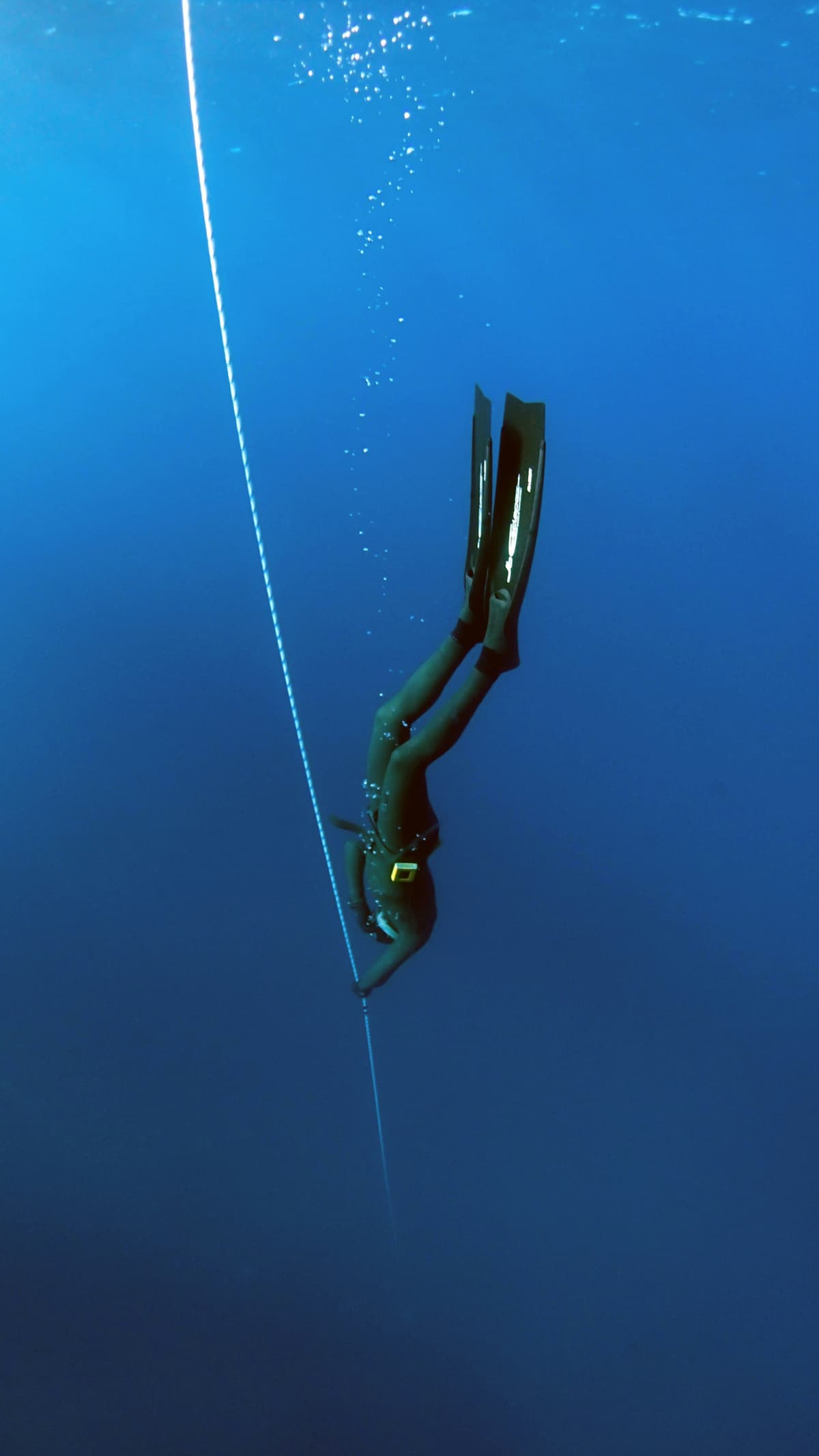 Freediver Descending