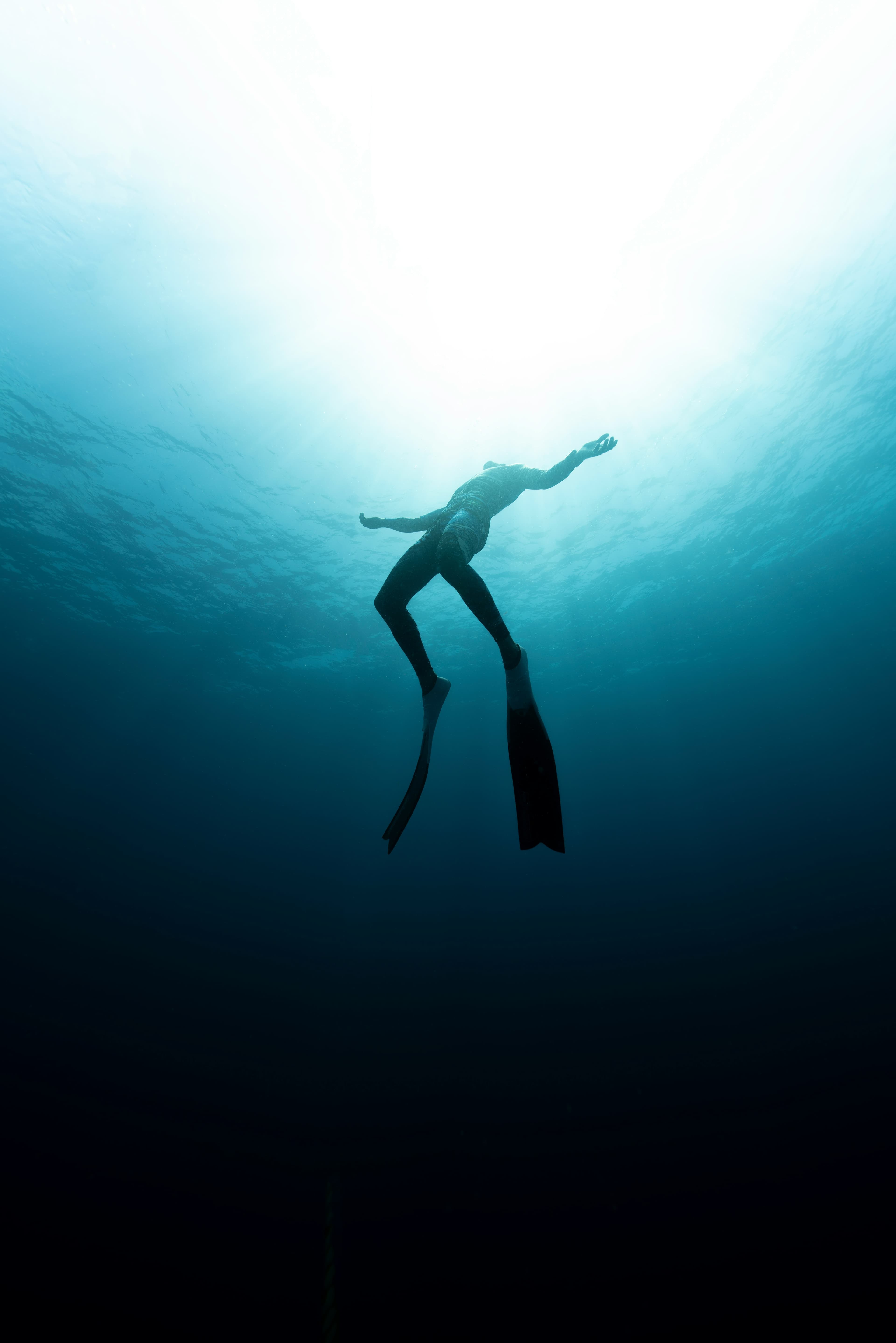 Freediving Certifications: AIDA, PADI, SSI, Molchanovs & FII Comparison Guide
