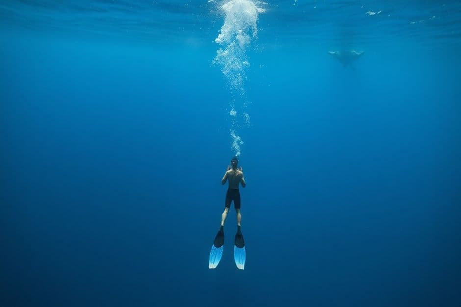 Freediver Descending