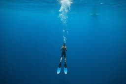 What is Freediving? The Complete Beginner's Guide